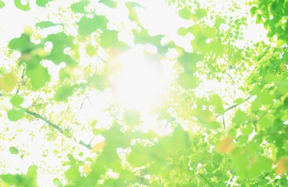 同性パートナーシップ制度では不十分　生命保険と遺言の活用/中野区で相続でお悩みならナカミチ行政書士事務所へ